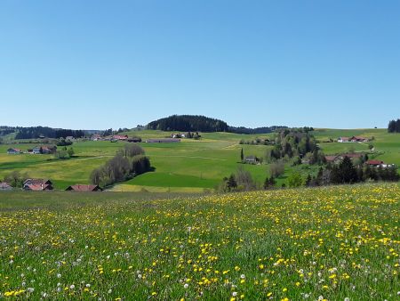 Aichbaindt 1_450 bre...